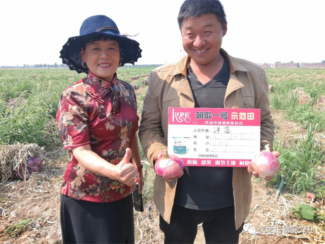 大蔥售價高1毛，每畝增產(chǎn)30%，憑啥？