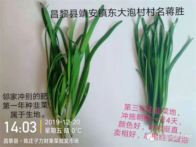大蔥售價高1毛，每畝增產(chǎn)30%，憑啥？
