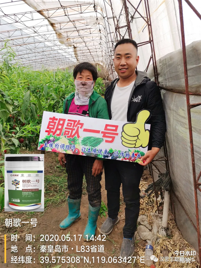 大蔥售價高1毛，每畝增產(chǎn)30%，憑啥？