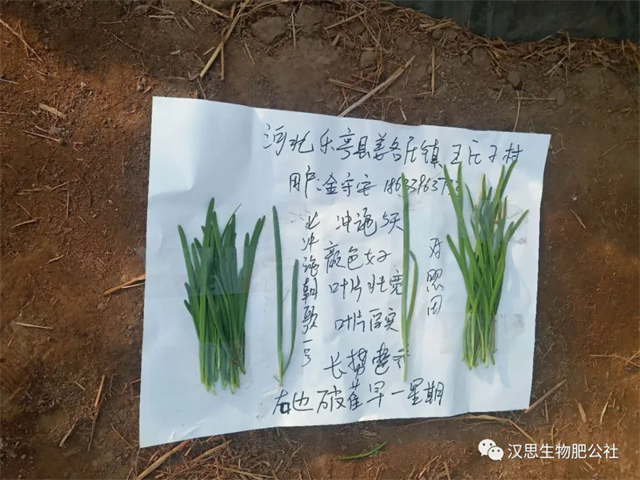 大蔥售價高1毛，每畝增產(chǎn)30%，憑啥？