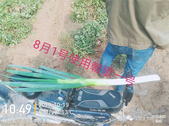 大蔥售價高1毛，每畝增產(chǎn)30%，憑啥？