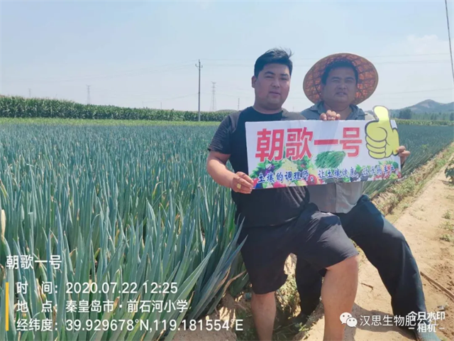 大蔥售價高1毛，每畝增產(chǎn)30%，憑啥？