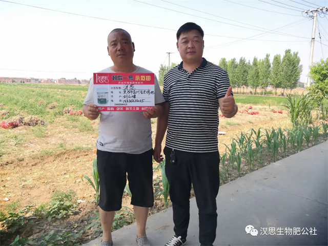 大蔥售價高1毛，每畝增產(chǎn)30%，憑啥？