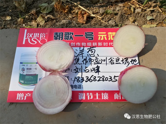 大蔥售價高1毛，每畝增產(chǎn)30%，憑啥？